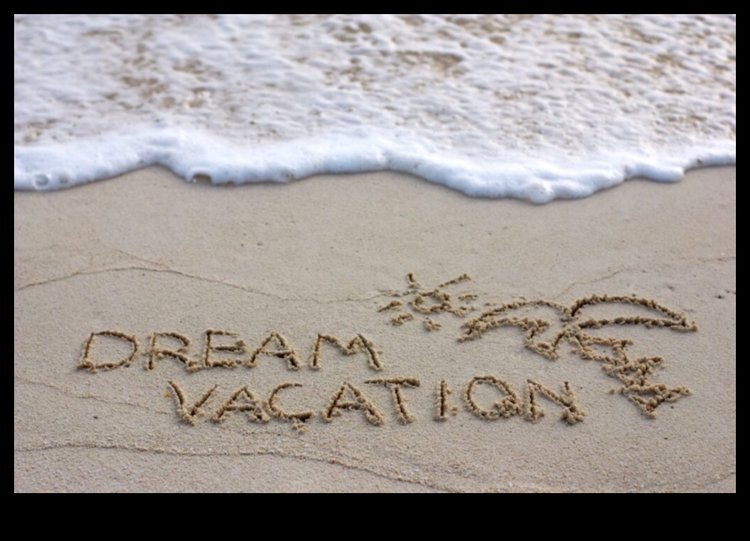 EmbarkEase: Esența unei planificări elegante și fără efort