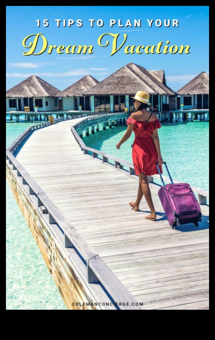 EmbarkEase: Esența unei planificări elegante și fără efort