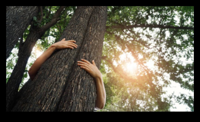 Navigați în natură: aventuri ecologice cu sfaturi ecologice de călătorie