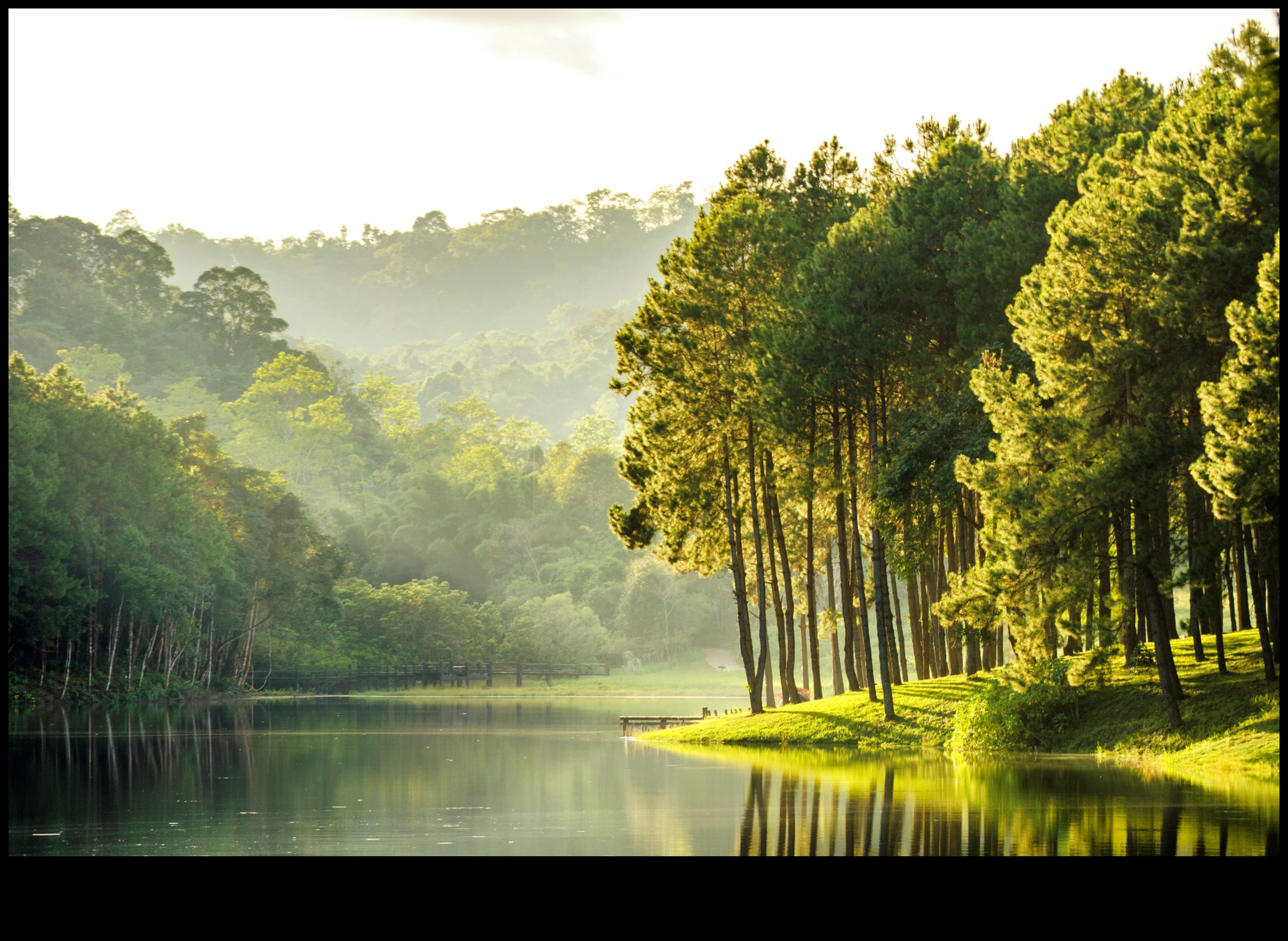 Navigați în natură: aventuri ecologice cu sfaturi ecologice de călătorie