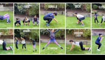 Safari Stretch Safari: Antrenamente pentru copii inspirate de animale