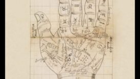 Dincolo de palme: scufundare în lumea Statement Hand Art