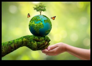 Navigați în natură: aventuri ecologice cu sfaturi ecologice de călătorie
