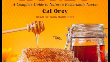 Nectarul Nomadului: sorbind dulceața sfaturilor de călătorie